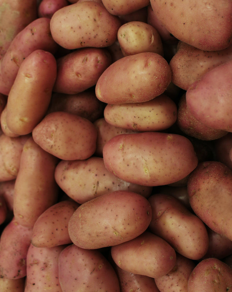 
                  
                    Baby Potatoes 500 g
                  
                