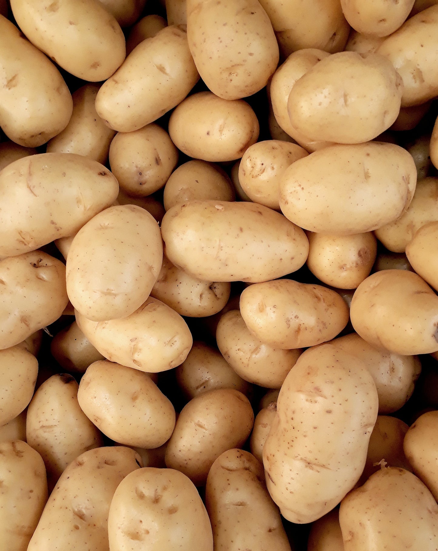 
                  
                    Baby Potatoes 500 g
                  
                