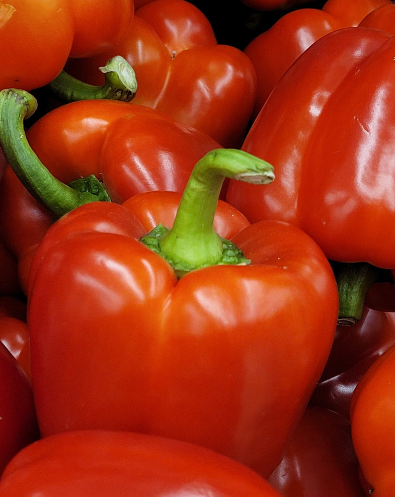 
                  
                    Red Bell Peppers 500 g
                  
                