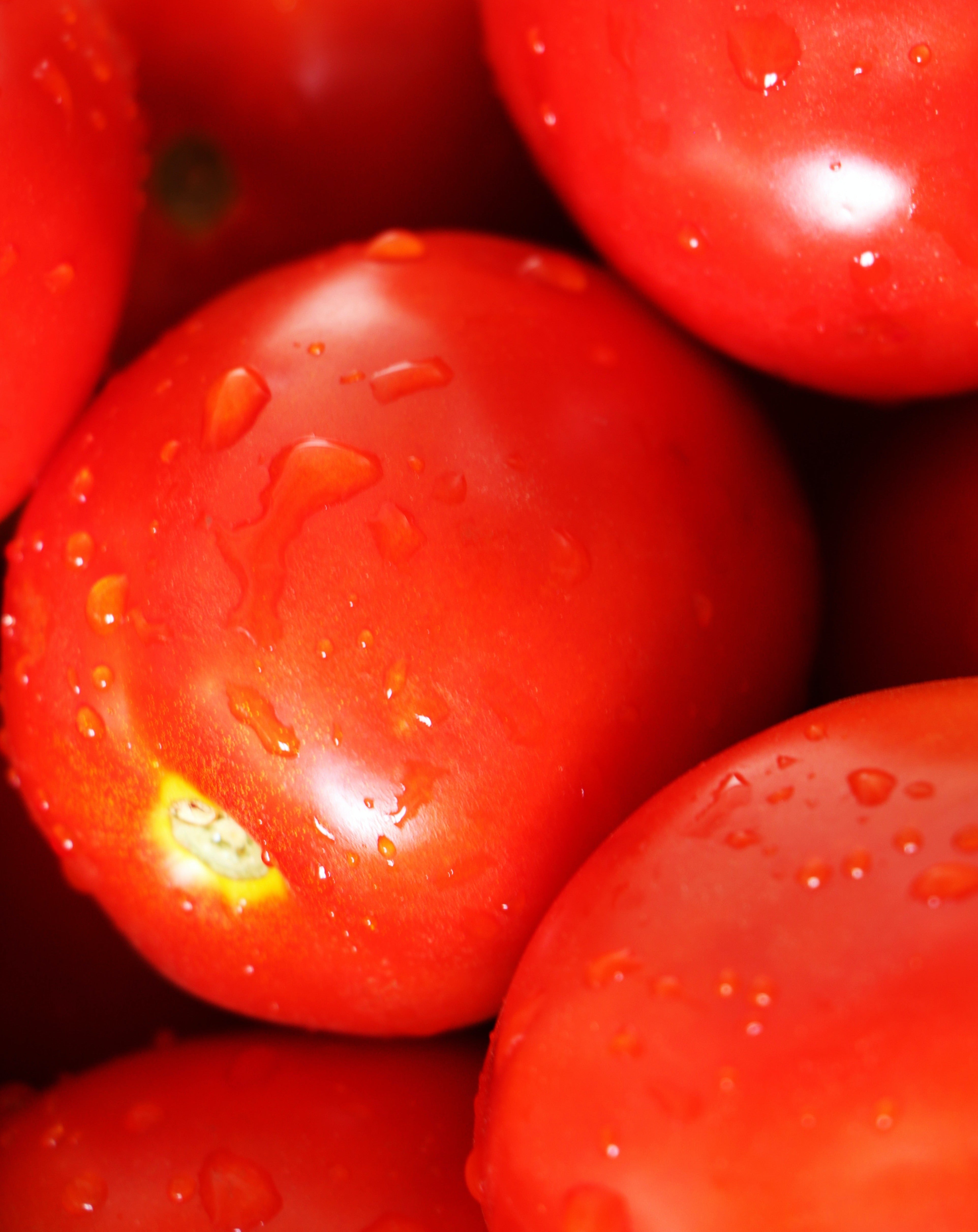 Organic Roma Tomatoes 1 kg Heirloom Foods